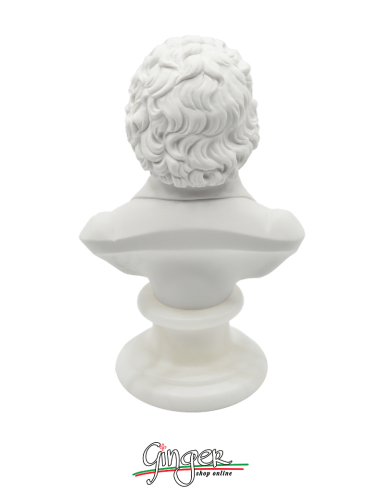 Composers Musicians - Ludwig van Beethoven 5,9"