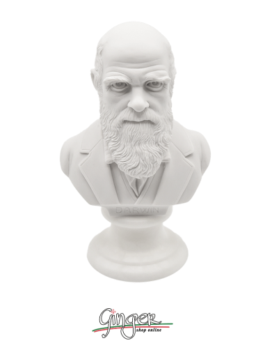 Charles Darwin - bust 6.0 in. (15 cm)