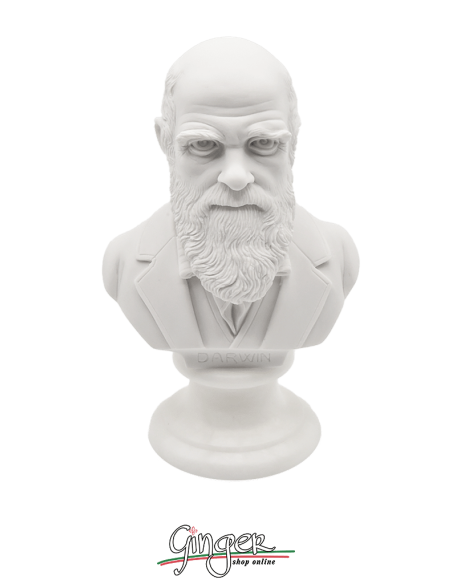 Charles Darwin - busto 15 cm