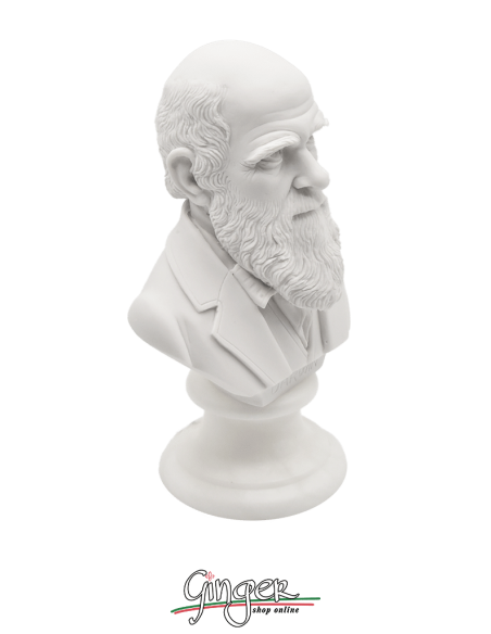 Charles Darwin - busto 15 cm