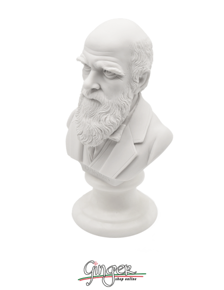 Charles Darwin - busto 15 cm