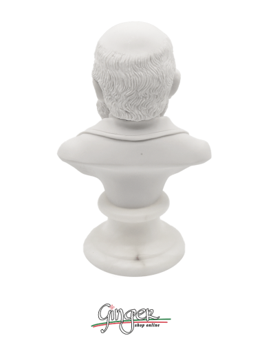Charles Darwin - busto 15 cm