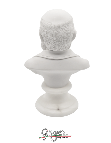 Charles Darwin - busto 15 cm