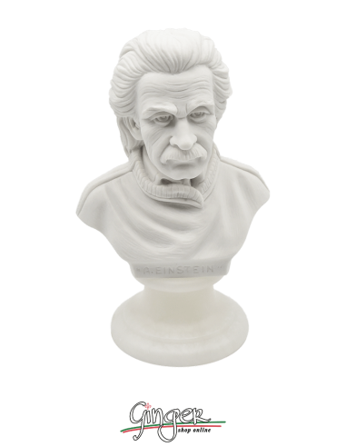 Albert Einstein - busto 15 cm