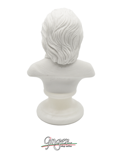 Albert Einstein - busto 16 cm