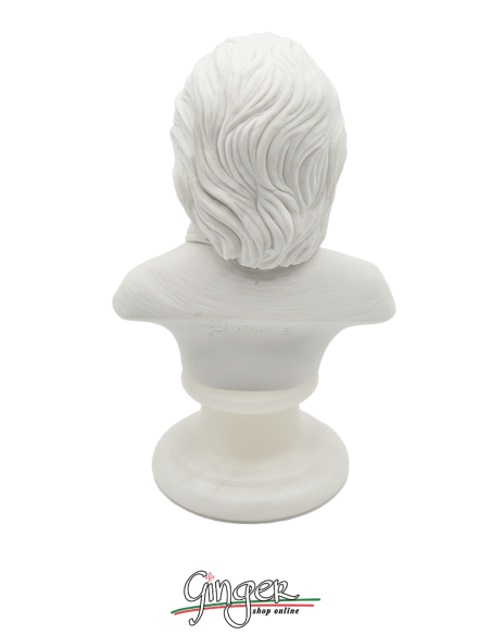 Albert Einstein - busto 16 cm