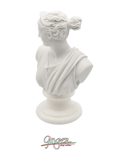 Venere di Milo (Afrodite) h 15 cm - Busto