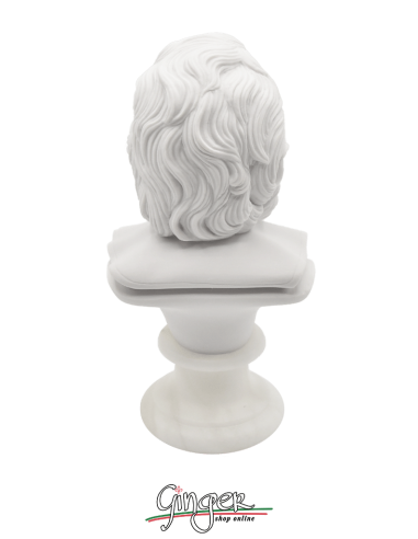 Galileo Galilei - bust 6.6 in. (17 cm)