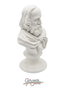 Giuseppe Garibaldi - bust 16 cm 2