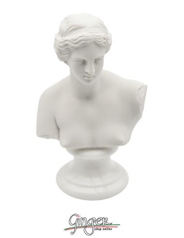 Venere di Milo (Afrodite) h 15 o 22 cm - Busto