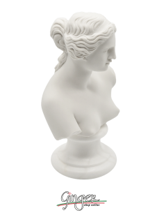 Venere di Milo (Afrodite) h 15 cm - Busto 2