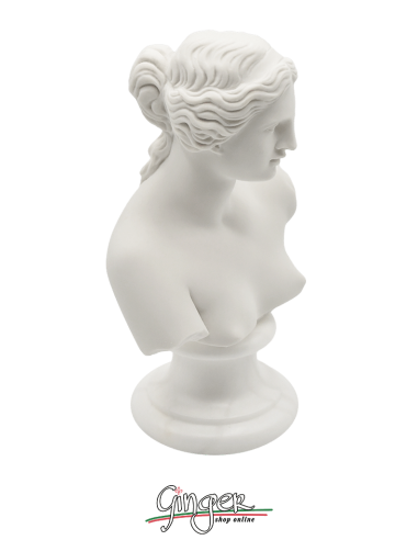 Venere di Milo (Afrodite) h 15 o 22 cm - Busto