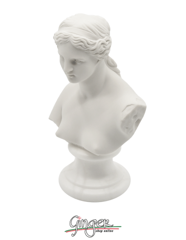 Venere di Milo (Afrodite) h 15 o 22 cm - Busto