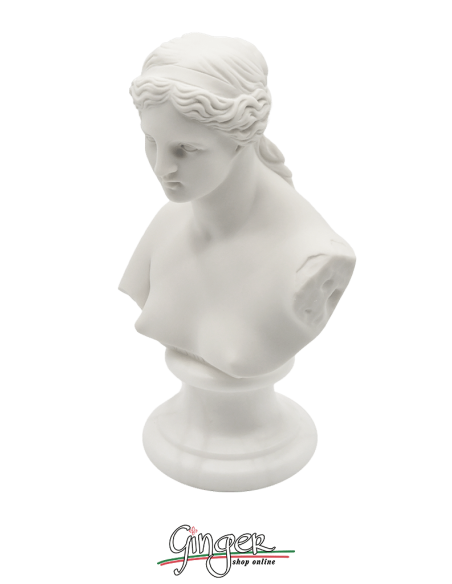 Venere di Milo (Afrodite) h 15 o 22 cm - Busto