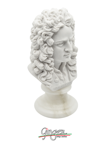 Isaac Newton - busto 16 cm