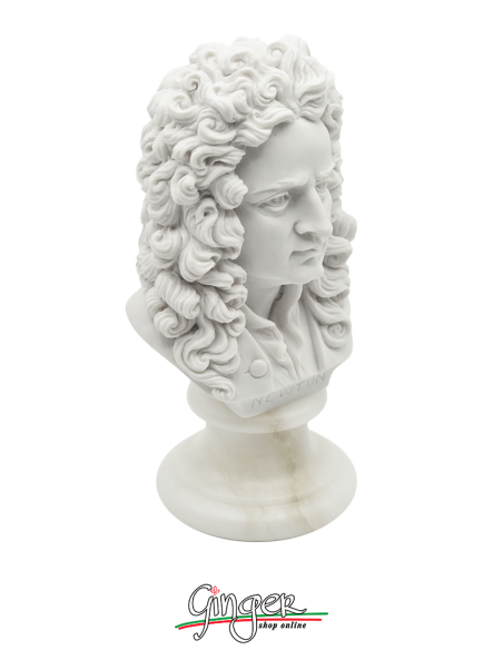 Isaac Newton - busto 16 cm