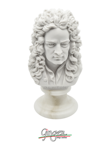 Isaac Newton - busto 16 cm