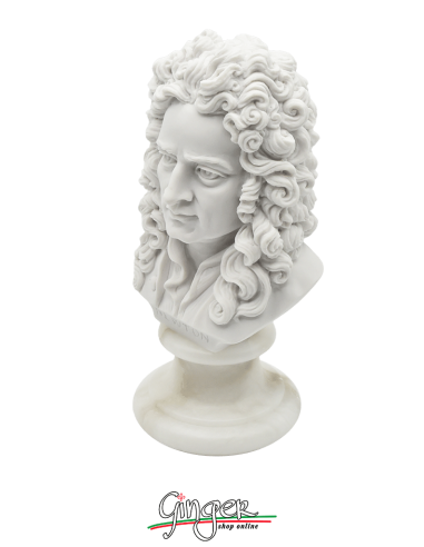 Isaac Newton - busto 16 cm