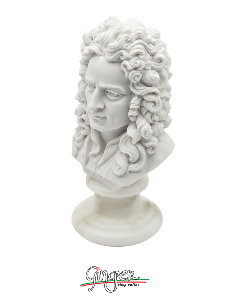 Isaac Newton - busto 16 cm