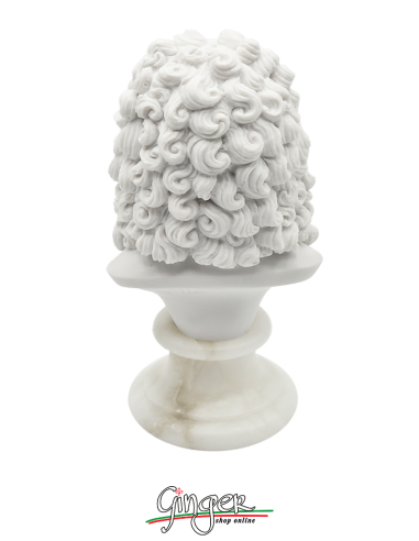 Isaac Newton - busto 16 cm