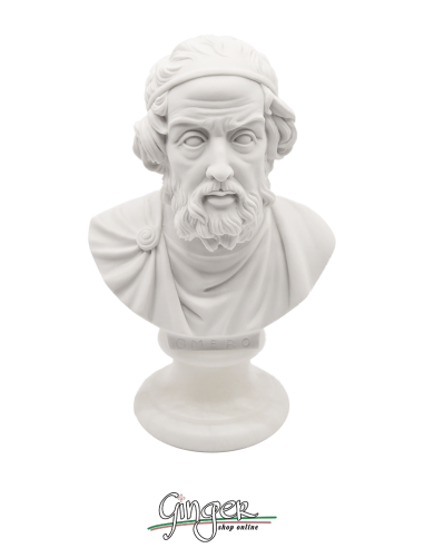 Omero - busto 16 cm