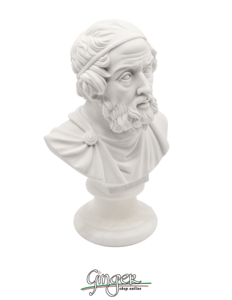 Omero - busto 16 cm