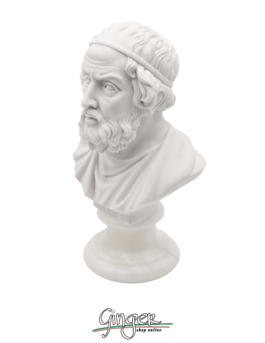 Omero - busto 16 cm