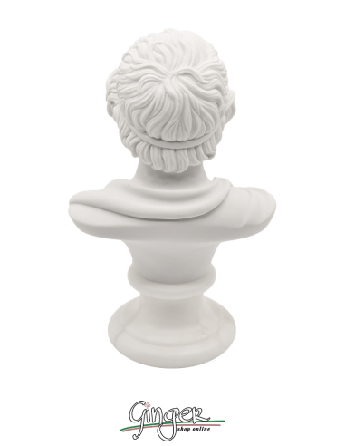 Omero - busto 16 cm