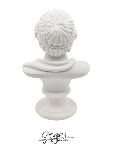 Omero - busto 16 cm