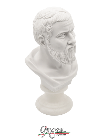 Platone - busto 16 cm