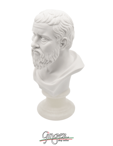Platone - busto 16 cm