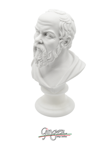 Socrate - busto 16 cm