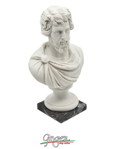 Ancient Rome - Septimius Severus - bust 6.3 in. (16 cm)
