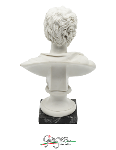 Antica Roma - Settimio Severo - busto 16 cm