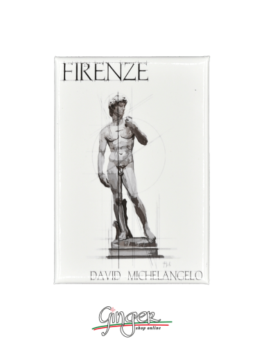 Calamita con monumenti e disegni di Firenze: il David