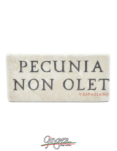 Magnet in real raw Italian marble - Pecunia non olet (Money does not stink)