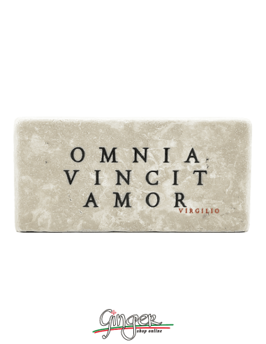 Magnet in real raw Italian marble - Carpe Diem (Seize the day)