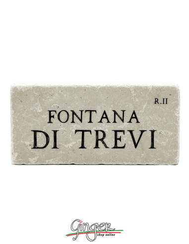Calamita in marmo - Fontana di Trevi