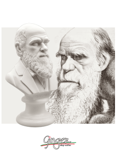 Charles Darwin - busto 15 cm 2