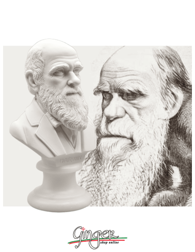 Charles Darwin - busto 15 cm