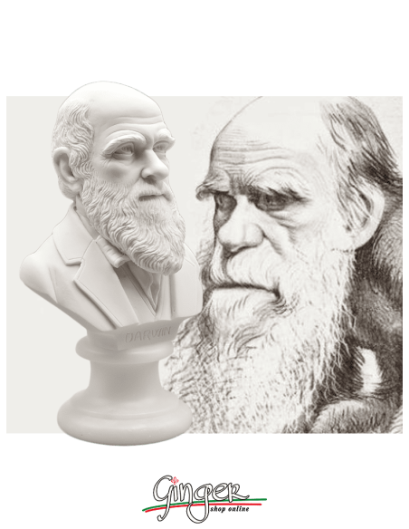 Charles Darwin - busto 15 cm
