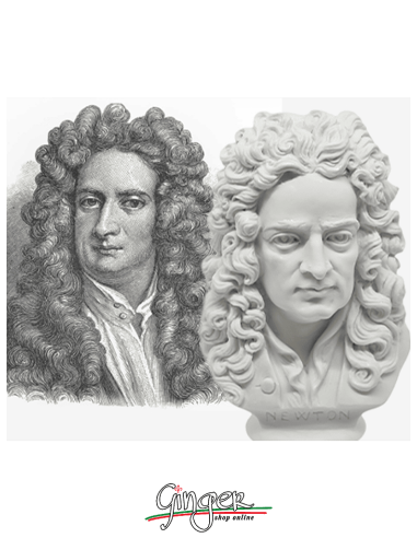 Isaac Newton - busto 16 cm