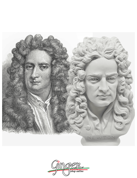 Isaac Newton - busto 16 cm