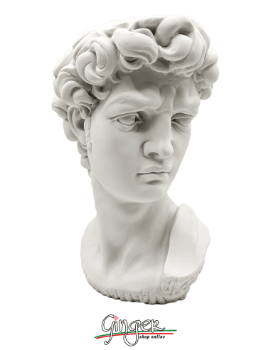 David - Testa 29 cm