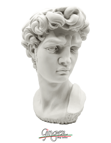 David - the head 11,4 in (29 cm) - natural white