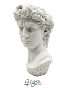 David - Testa 29 cm 2