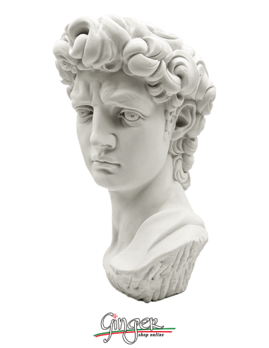 David - Testa 29 cm