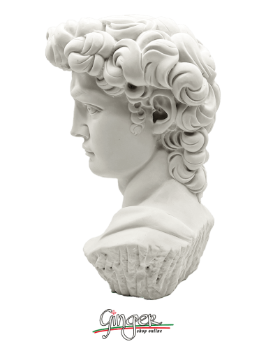 David - Testa 29 cm