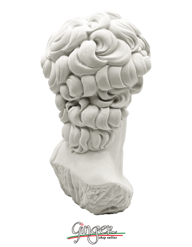 David by Michelangelo - 11,41 in