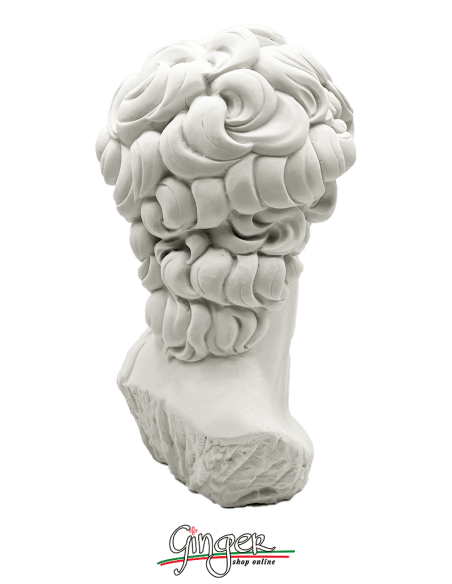 David - Testa 29 cm